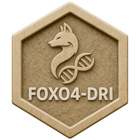 FOXO4-DRI Compounds