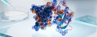 Are Peptides Safe? Research Perspective